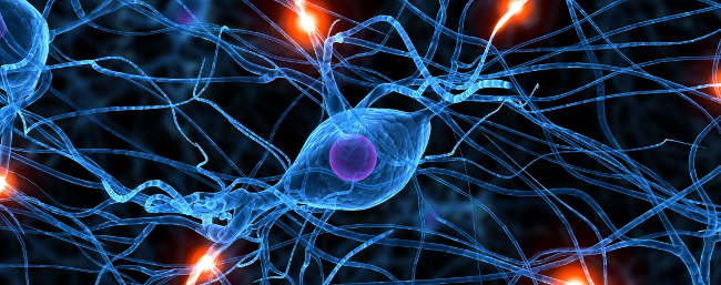 imagegallery-127-5652e0966cd98